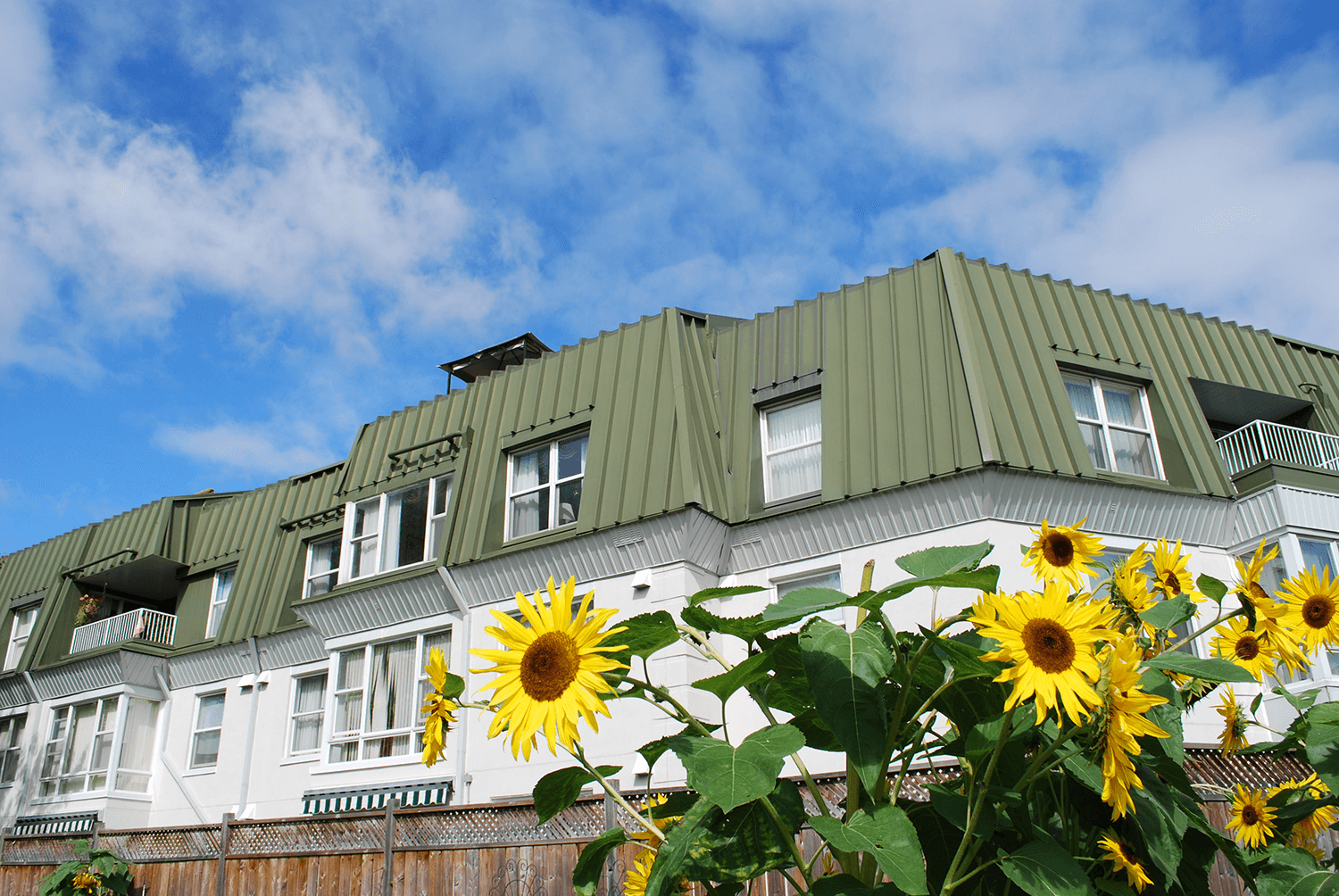 View of Wyndham Gardens building with sunflower in foreground